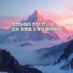 안전놀이터 추천! 믿을 수 있는 플랫폼 소개와 혜택까지!