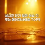 실시간 인기 많은 이슈 다루는 메이저사이트 TOP5